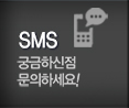 용달화물차 SMS